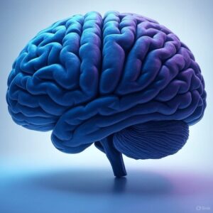 NeuroShift Check | Neurotramsmitter-Coaching 1 h